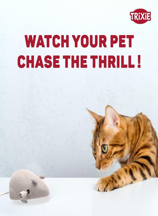 Trixie: - Wind up Mouse Toy for Cats | an Interactive Cat Toy, Made with Non-Toxic Plastic | A Classic Mouse Shape Toy Stimulates Your Kitten’s Natural Hunting Instincts - 7 cm - Image 2